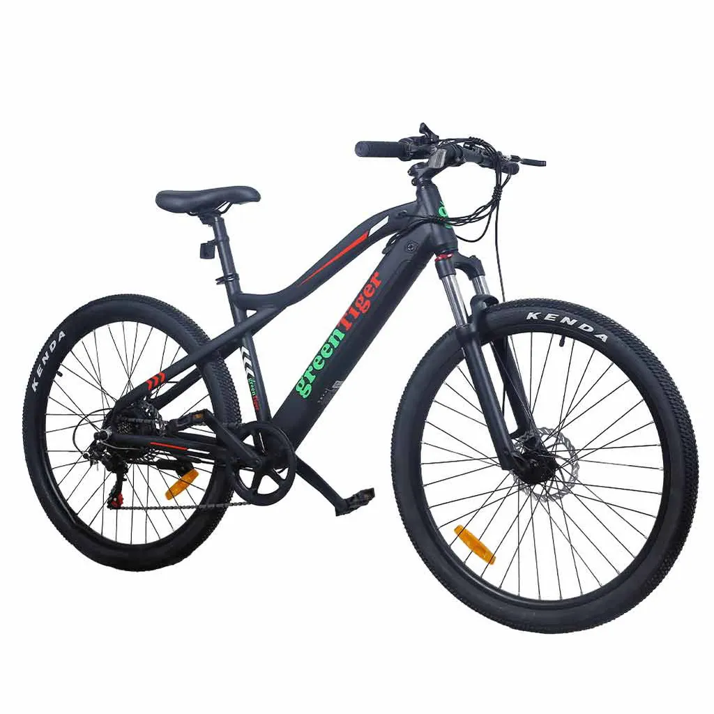 GT-Ebicycle MTB RTH