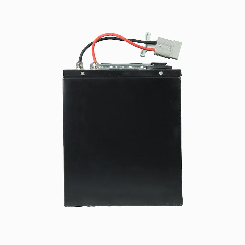 Lithium Battery 60V 1500Wh (Removable)