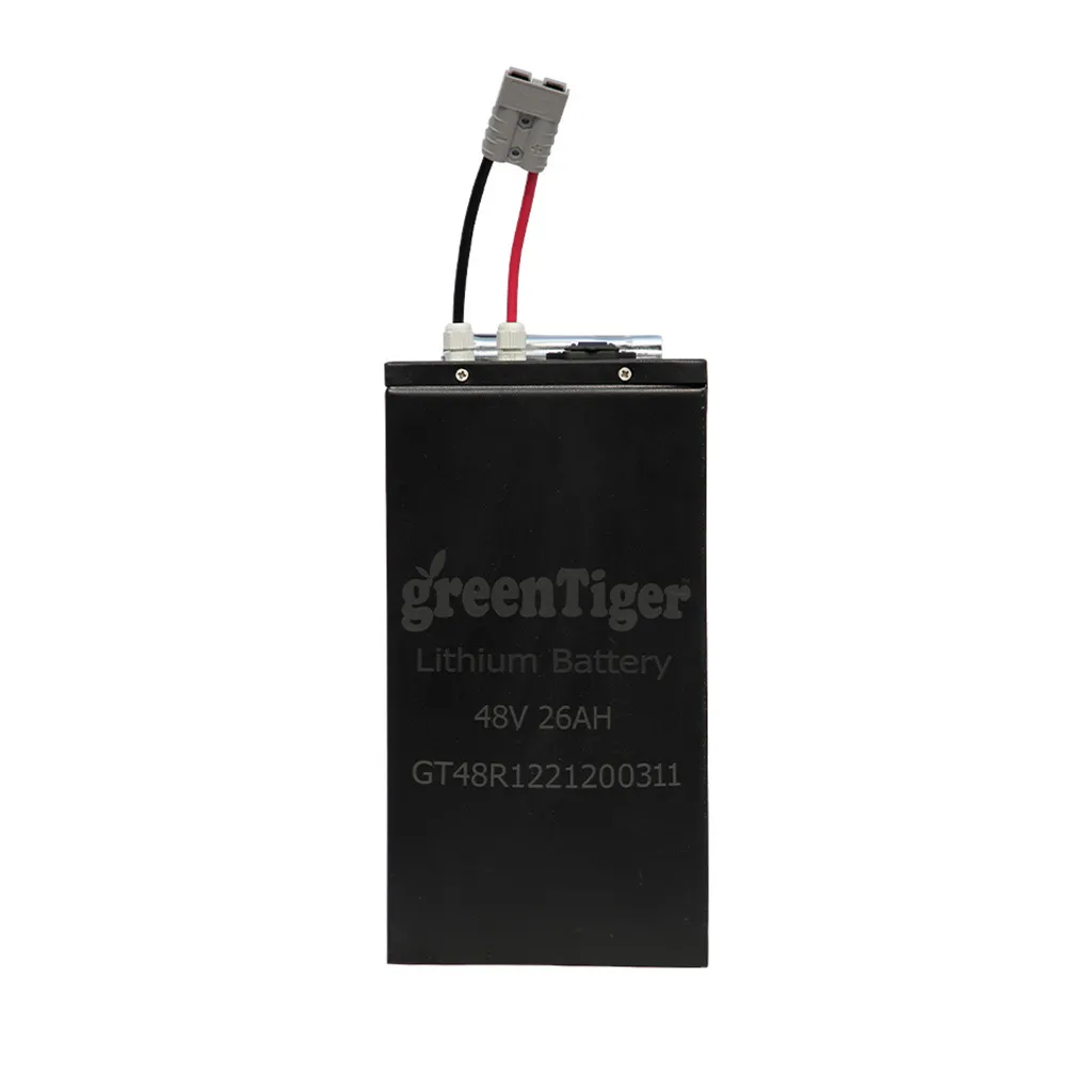 Lithium Battery 48V 1000Wh (Removable)